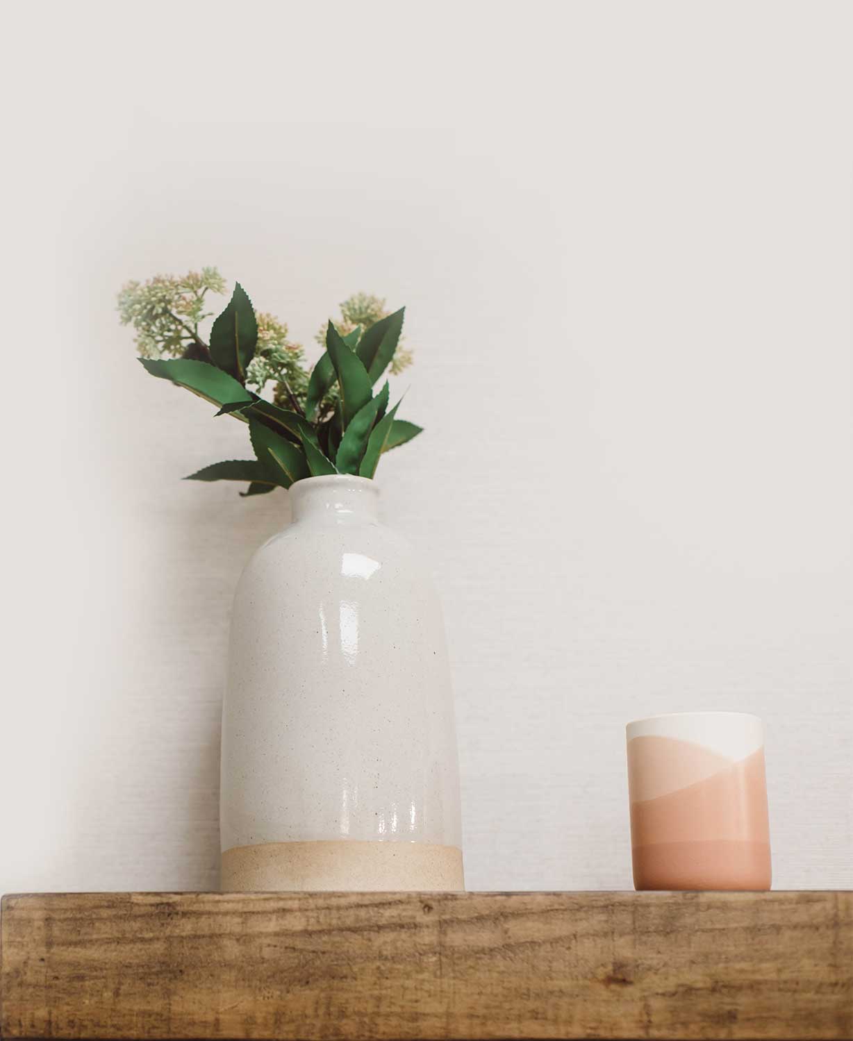 Photo of a plant on a floating shelf on the wall
